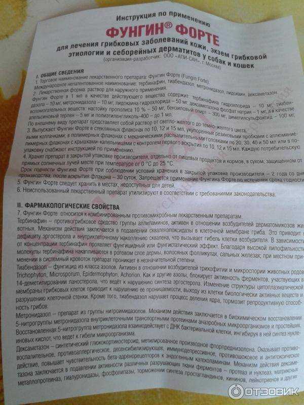 Фунгин форте: инструкция по применению для кошек, отзывы, аналоги