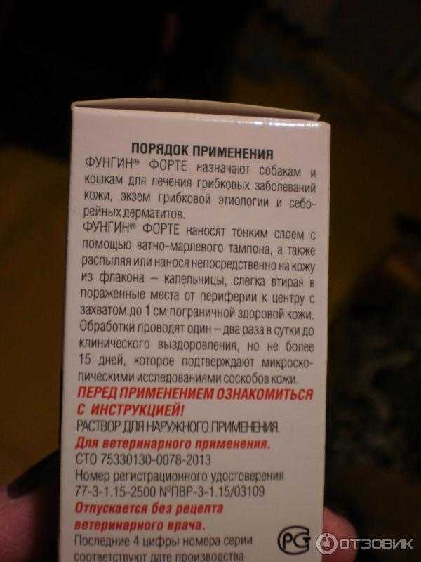 Фунгин форте: инструкция по применению для кошек, отзывы, аналоги