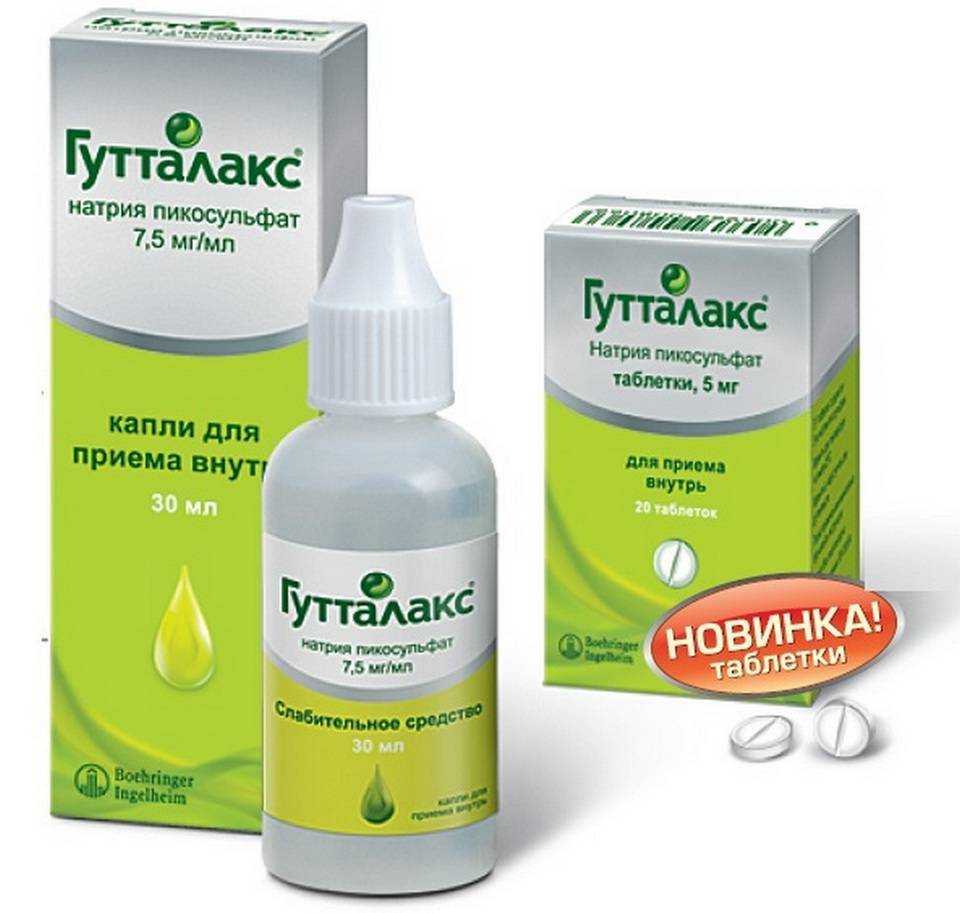 Закупорка кишечника у собаки
