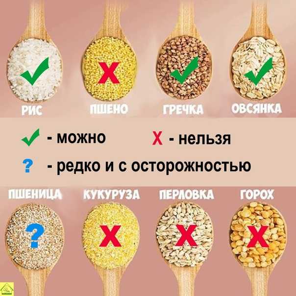 Какой крупой лучше кормить собаку, как варить еду для питомца вкусно и быстро. какую крупу можно собакам, а какую нельзя