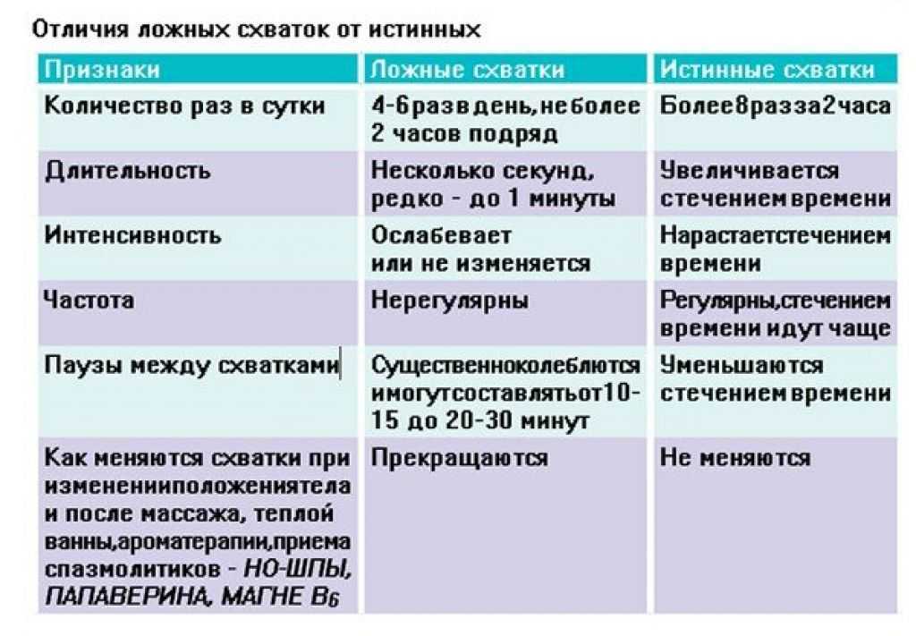 Кошка перед родами: особенности поведения в первый и последующие разы, подозрительные симптомы