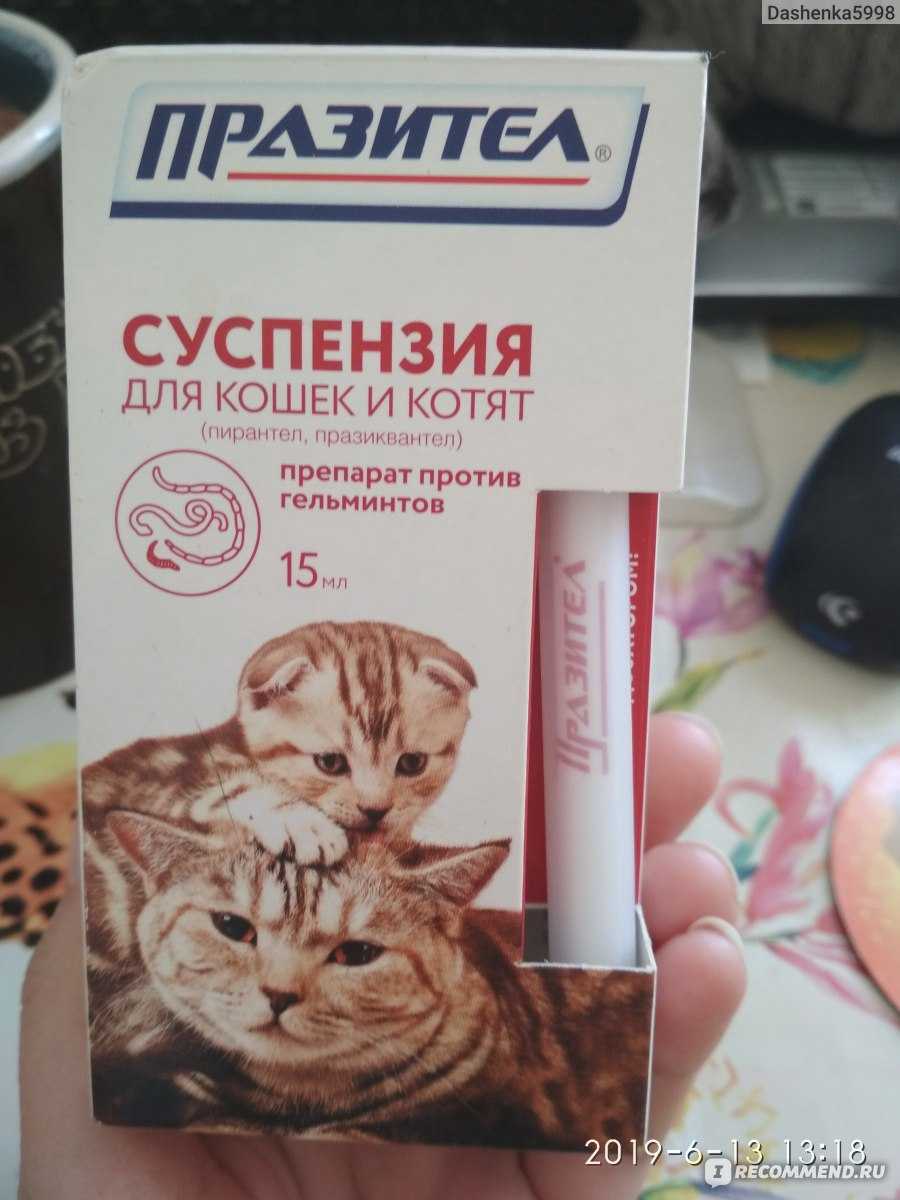 Празител для кошек: суспензия, таблетки, инструкция по применению, отзывы - kupipet.ru