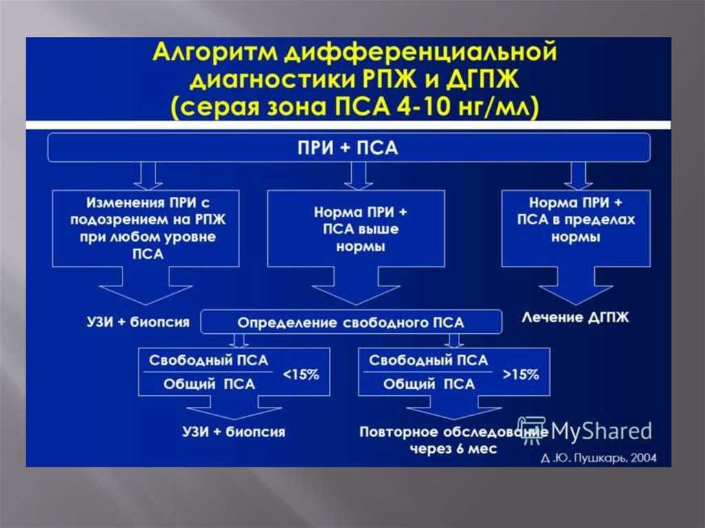 Как диагностировать простатит у собаки, и что применять для лечения болезни?