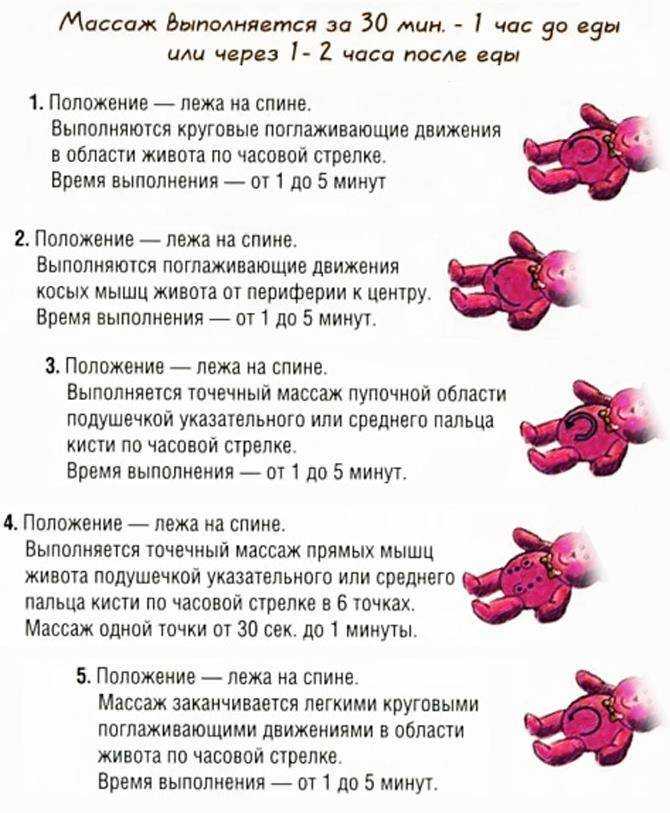Как делать массаж задних лап кошкам и котам