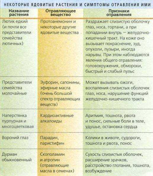 Что делать если собака отравилась / пищевое отравление у собаки