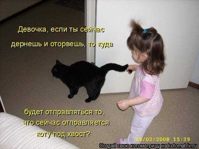 Почему кот не любит когда его гладят?