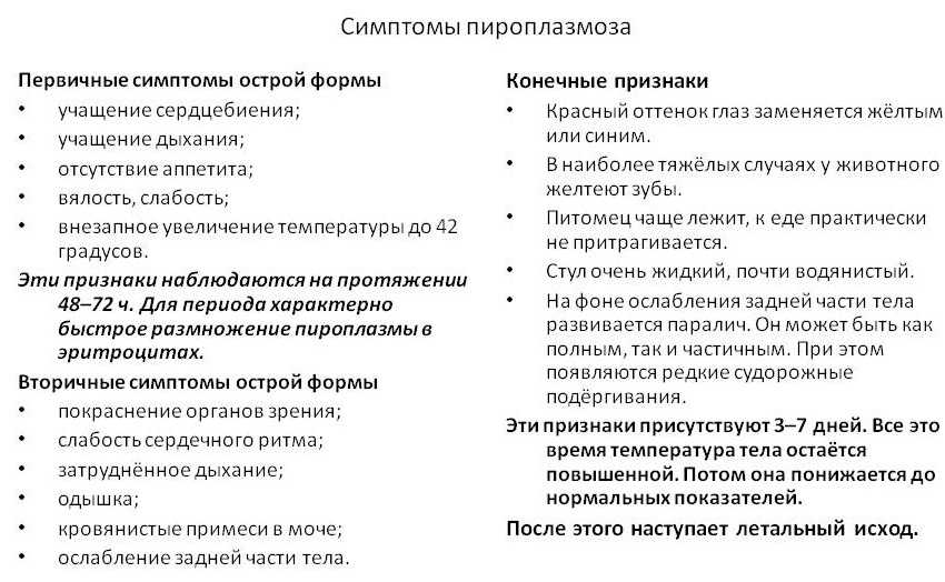 Как кормить собаку при пироплазмозе