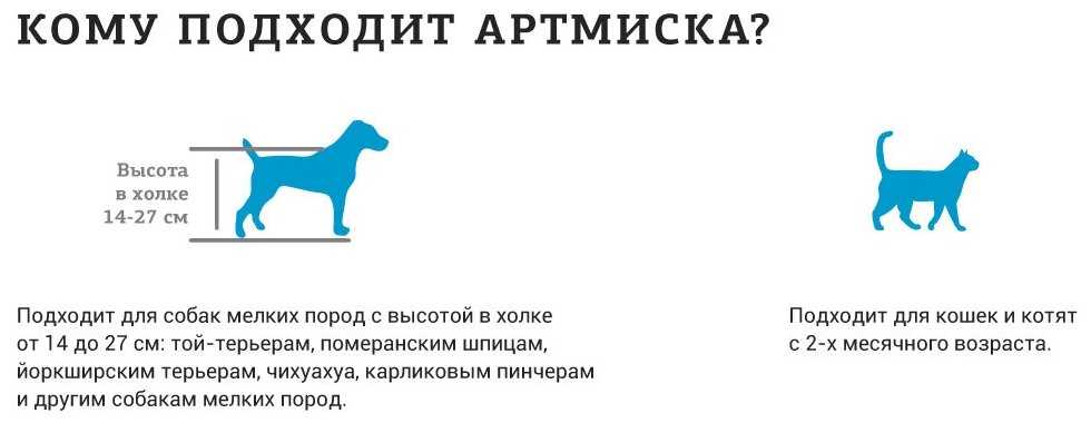 Миски для собак — виды и критерии выбора