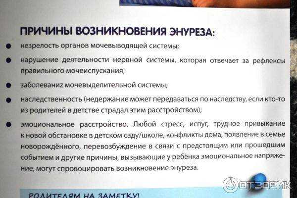 Собака писается от радости