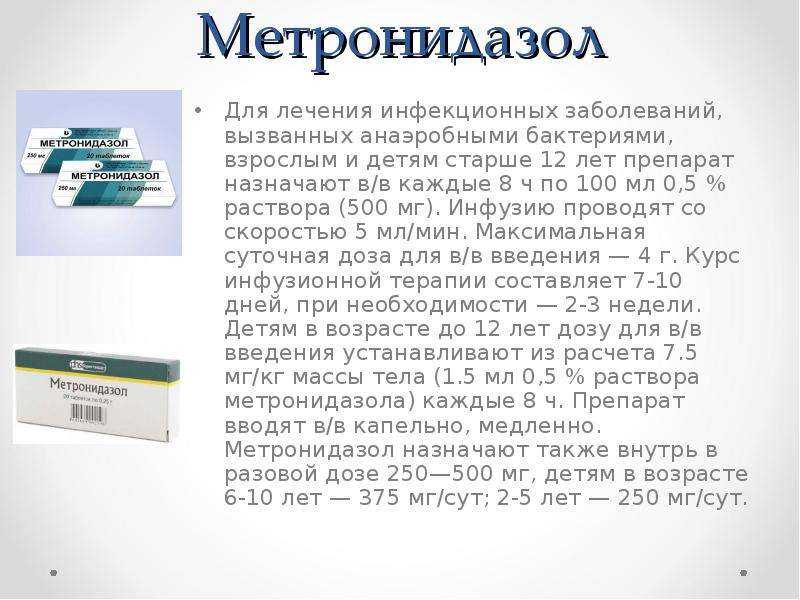 Метронидазол для кошек – когда нужны антибиотики
