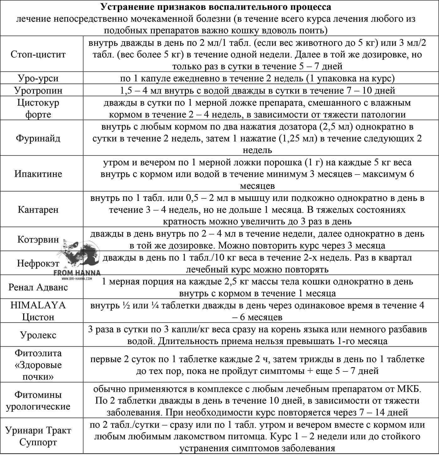 Уроцистит у кошек: лечение, профилактика, симптомы