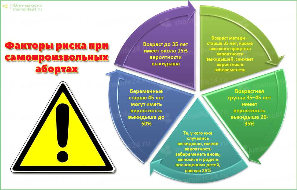 Как прервать беременность у кошки и можно ли прервать на ранних сроках
