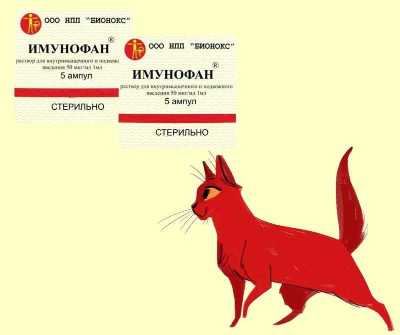 Препарат имунофан для кошек: описание, инструкция по применению для животных, отзывы