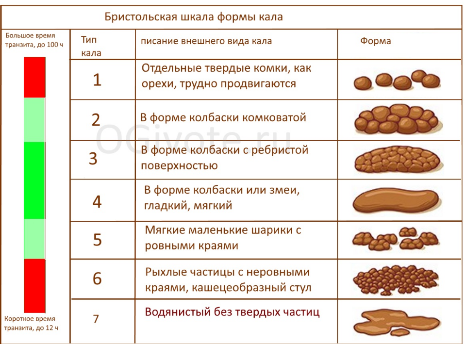 Понос у кошки - причины и лечение
