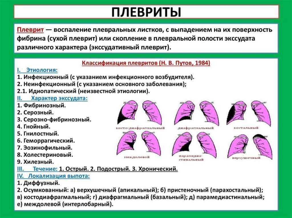 Лечение и симптомы плеврита у животных - причины болезни