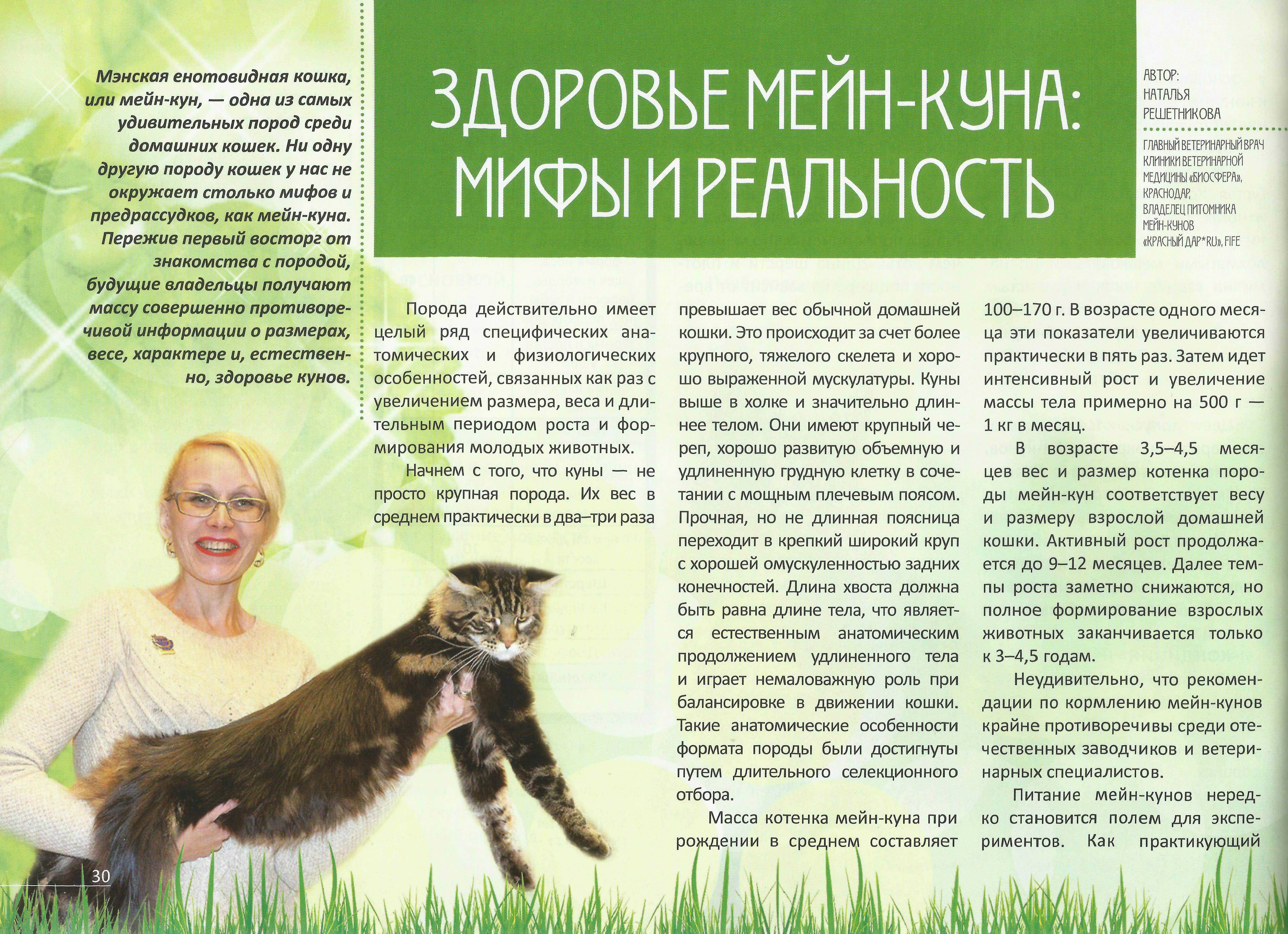 Развитие мейн кунов по месяцам, вес и размер в таблице