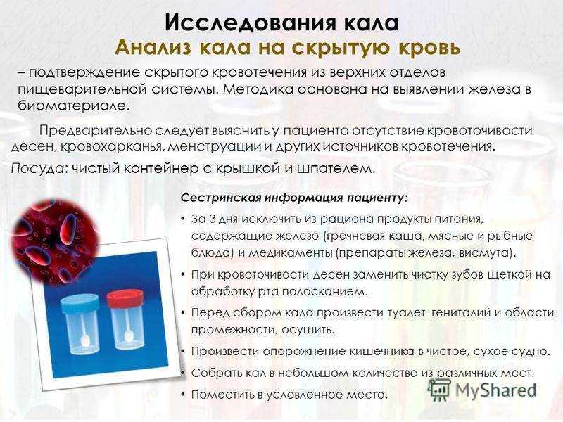 Анализ кала у кошек. особенности сдачи и подготовки