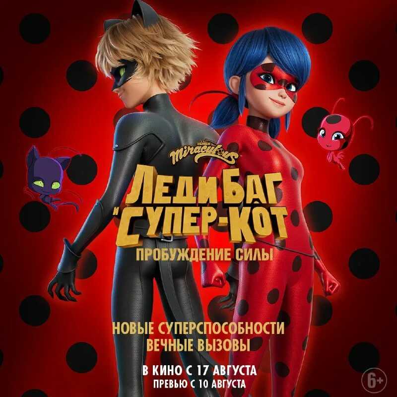 Можно ли кормить котят сметаной месячных