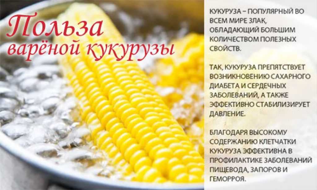 Чем полезна консервированная кукуруза, состав и калорийность злака