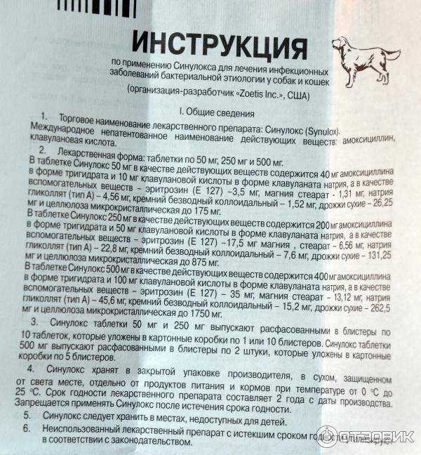 Уролекс для кошек: инструкция по применению, аналоги, отзывы
