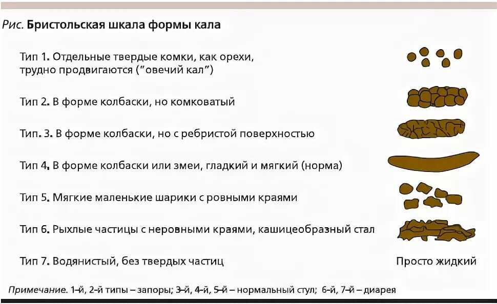 Как вызвать роды у кошки: стимуляция и ускорение