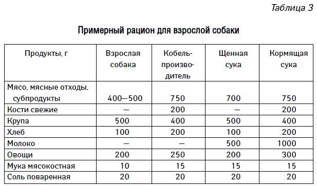 Что нельзя собакам из еды?