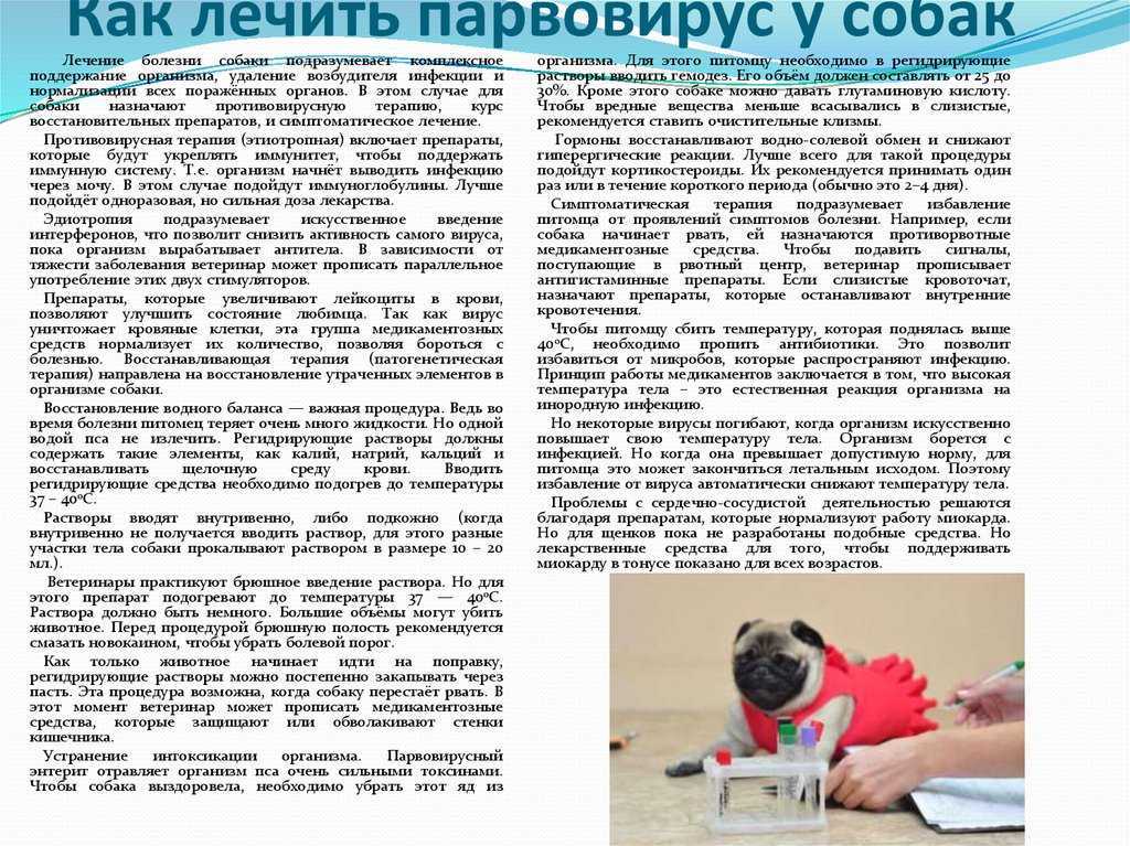 Интоксикация: стадии, причины и лечение | университетская клиника