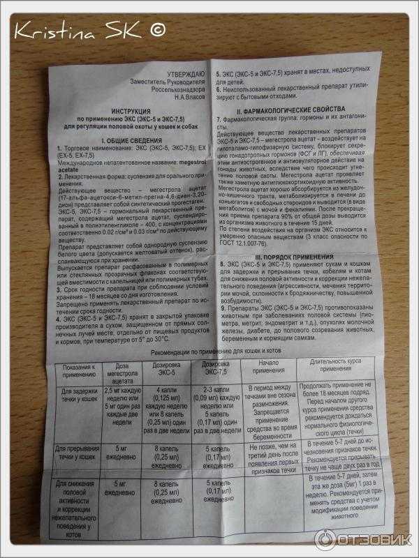 Антисекс для кошек, капли, таблетки, уколы для котов и самок от гуляния: препараты вместо кастрации