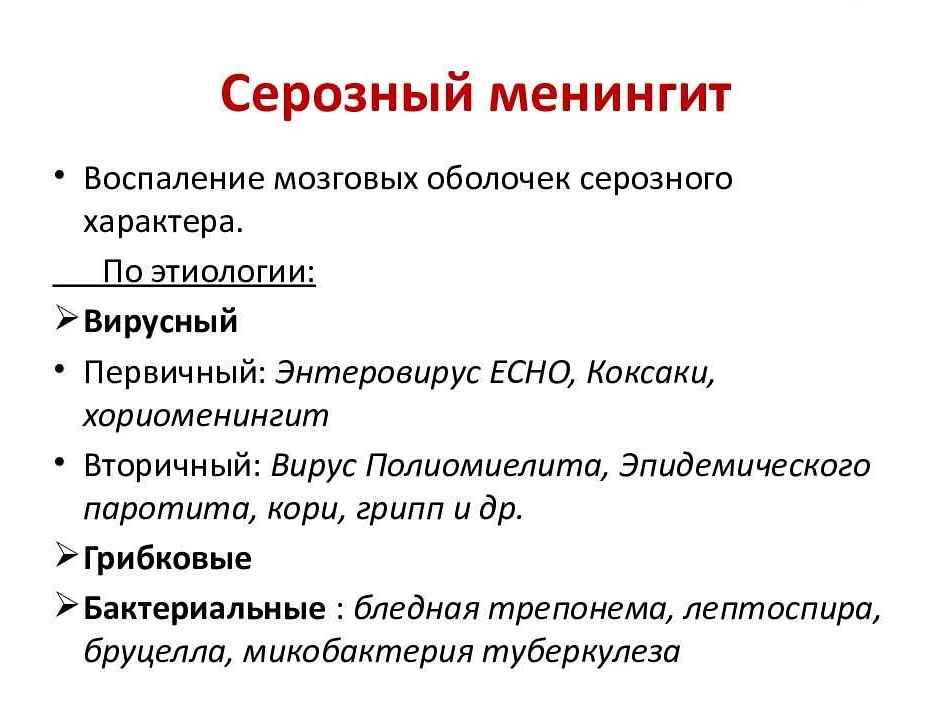 Энцефалит у собак