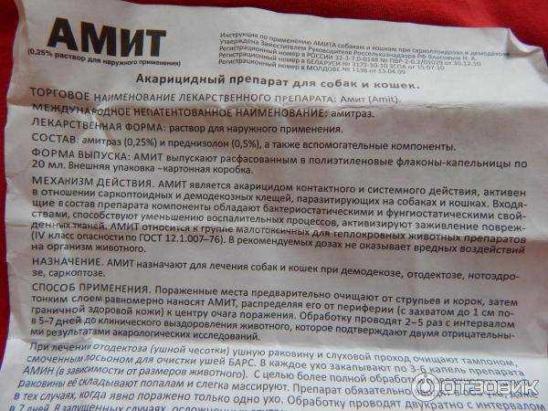Поливеркан для кошек: описание и инструкция по применению