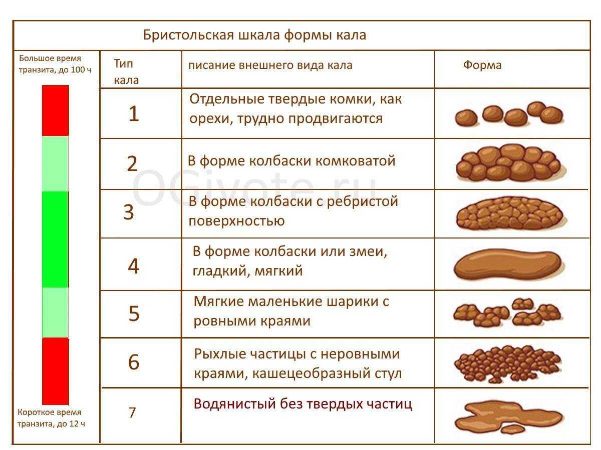 Если у котёнка понос
