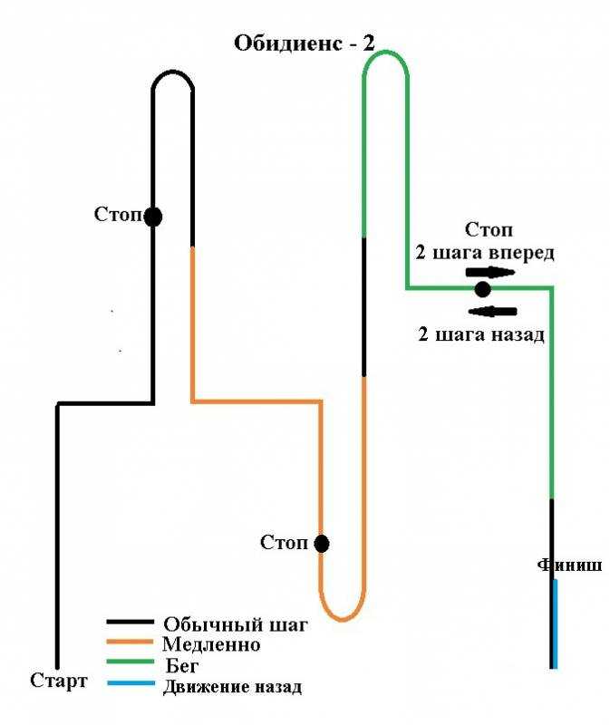 Аджилити: специфика спорта для активных собак