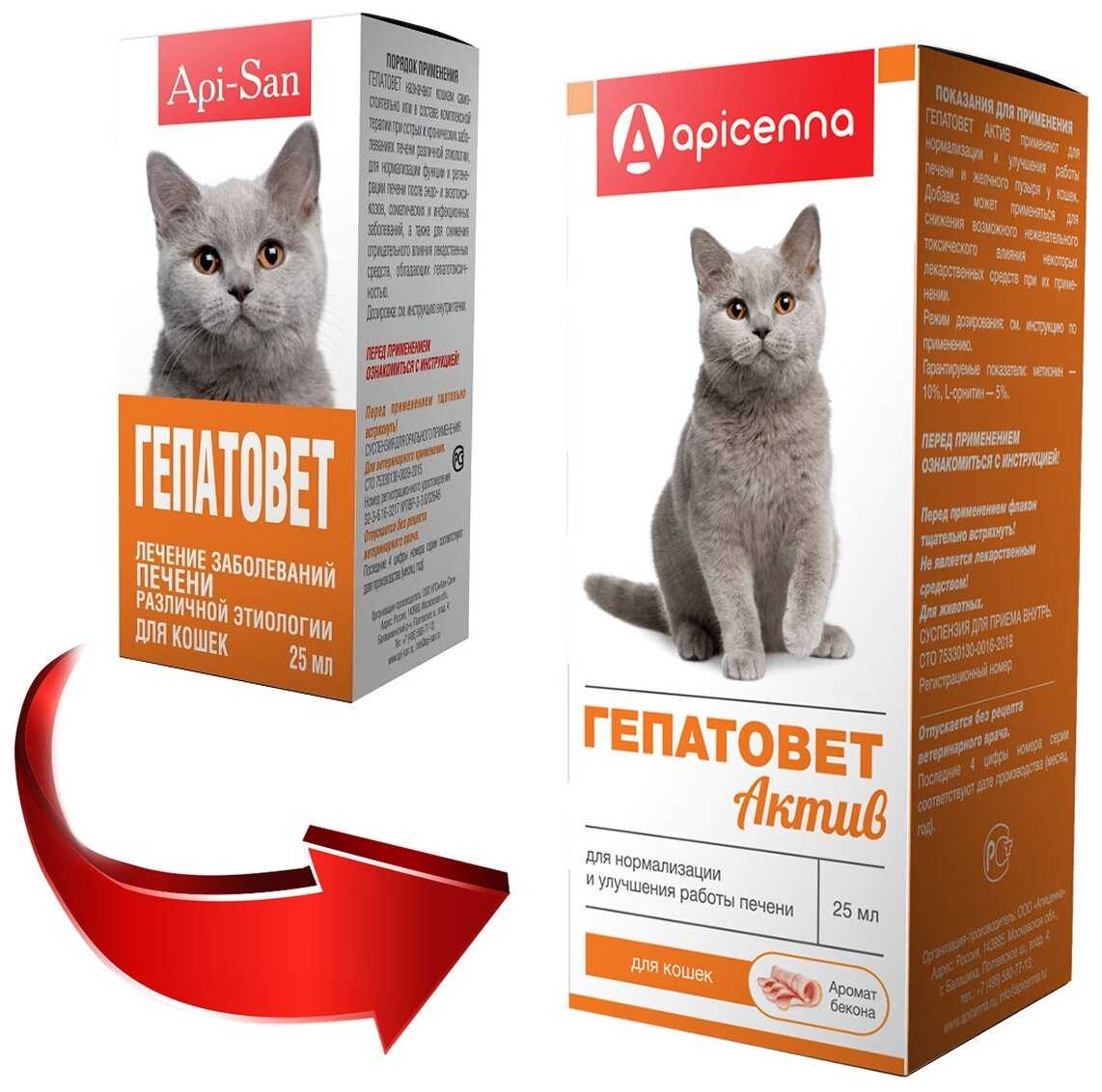 Гепатовет для кошек: инструкция по применению, аналоги