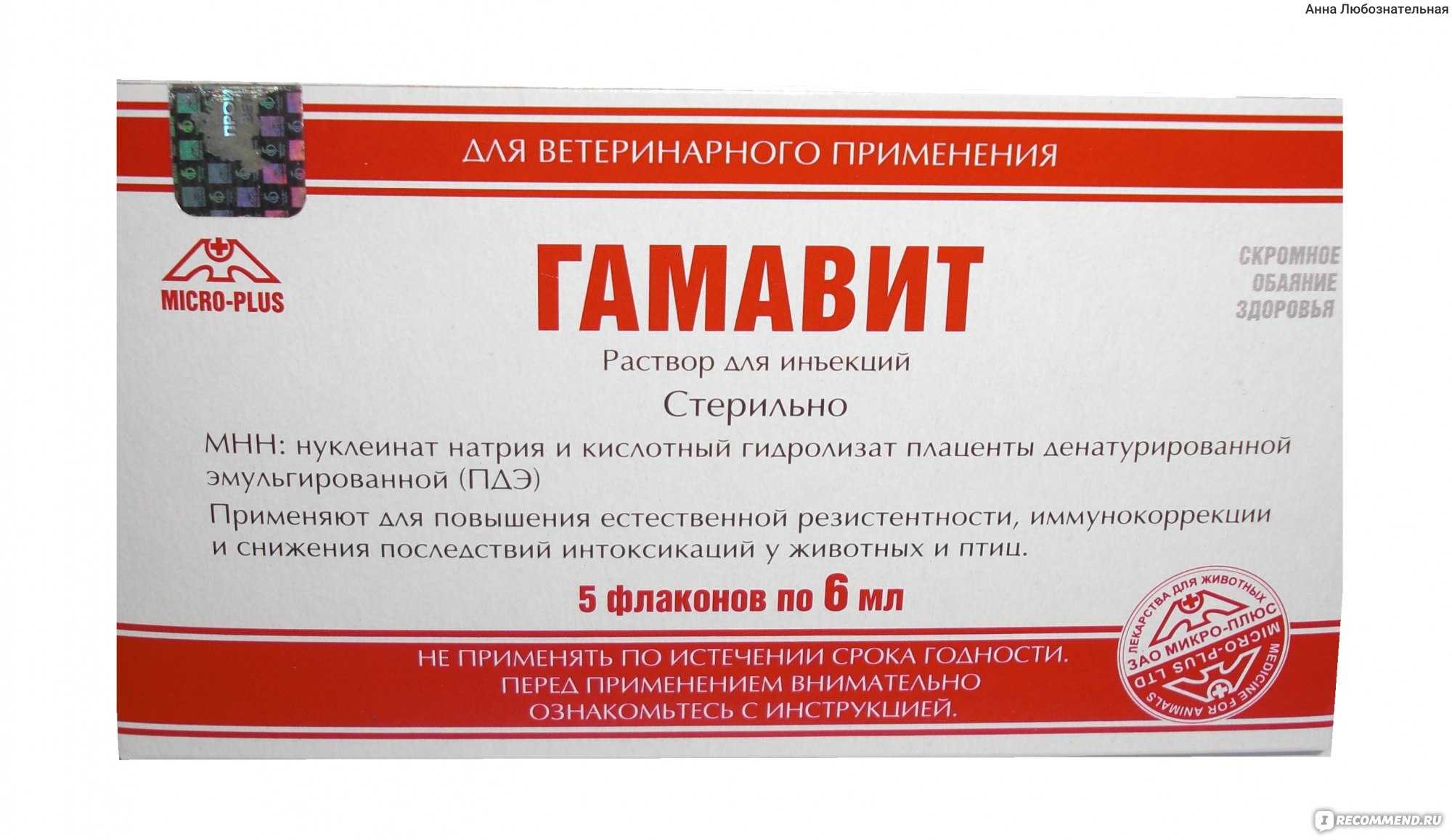 Гамавит для собак: инструкция по применению, как давать, дозировка, аналоги | звери дома