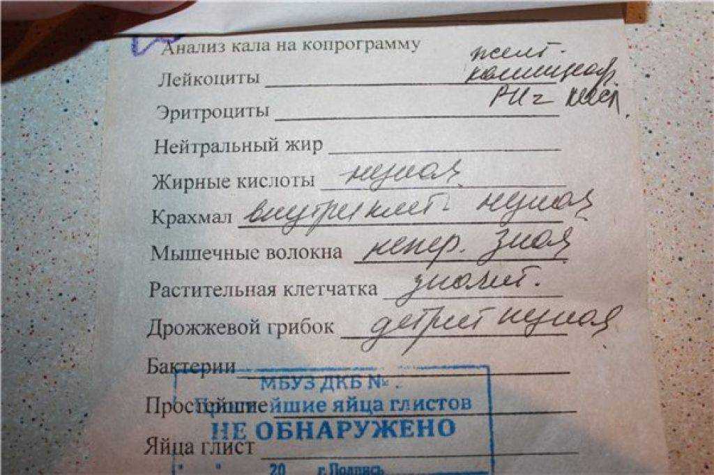 Для чего берут анализ кала у кошки?