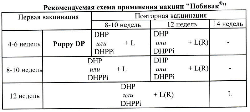 Вакцинация собак