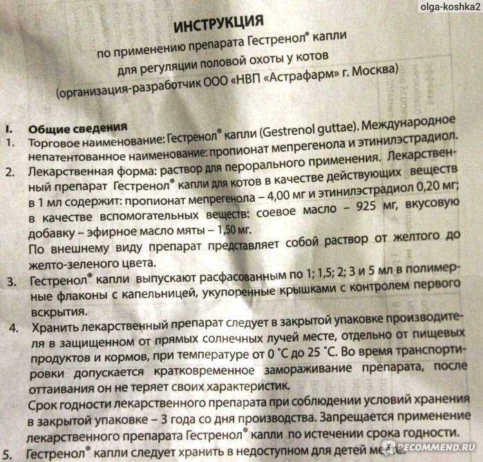 В каких случаях можно использовать лактобифадол для кошек и как это правильно делать?