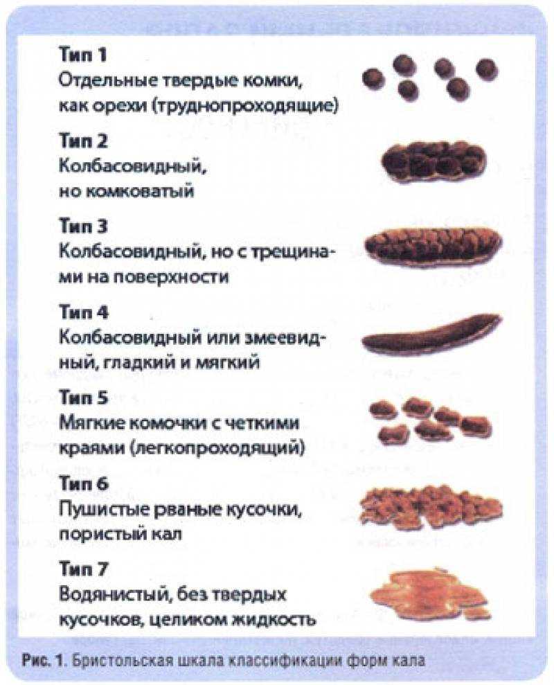 Интоксикация у щенка после глистогонки что делать