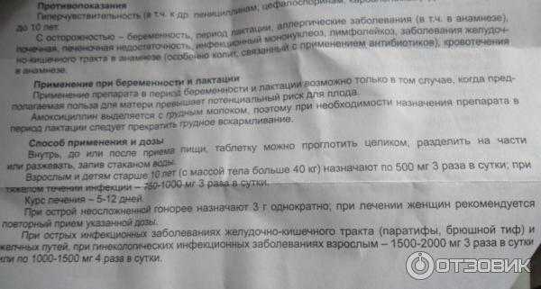 Амоксициллин для собак: можно ли давать, дозировка, инструкция по применению