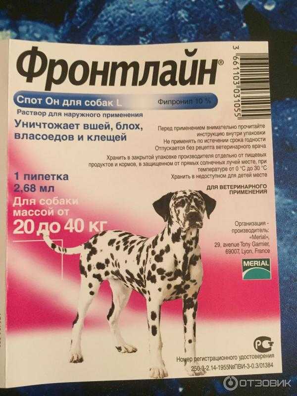 Так ли эффективен фронтлайн для кошек и котов? отзывы