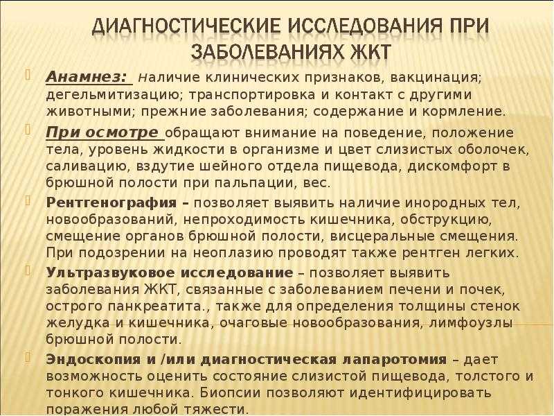 Холангиогепатит: почему возникает заболевание и как его лечить | hill's