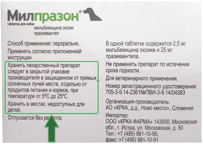 Средство милпразон: защита кошки от глистов
