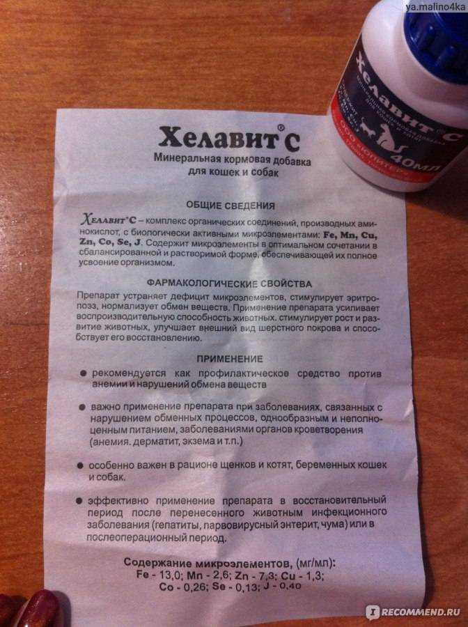 Виттри для кошек: инструкция по использованию витаминов для котят и взрослых котов