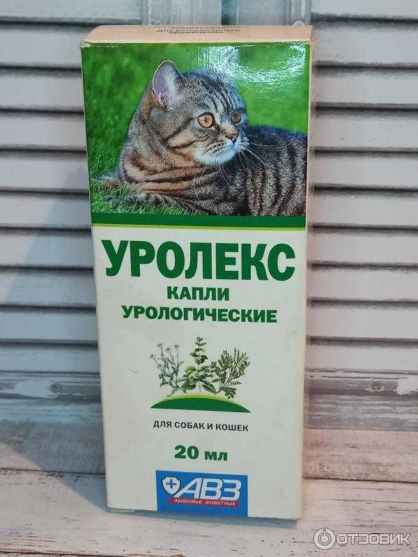 Уролекс для кошек: инструкция по применению, показания и противопоказания, аналоги, отзывы