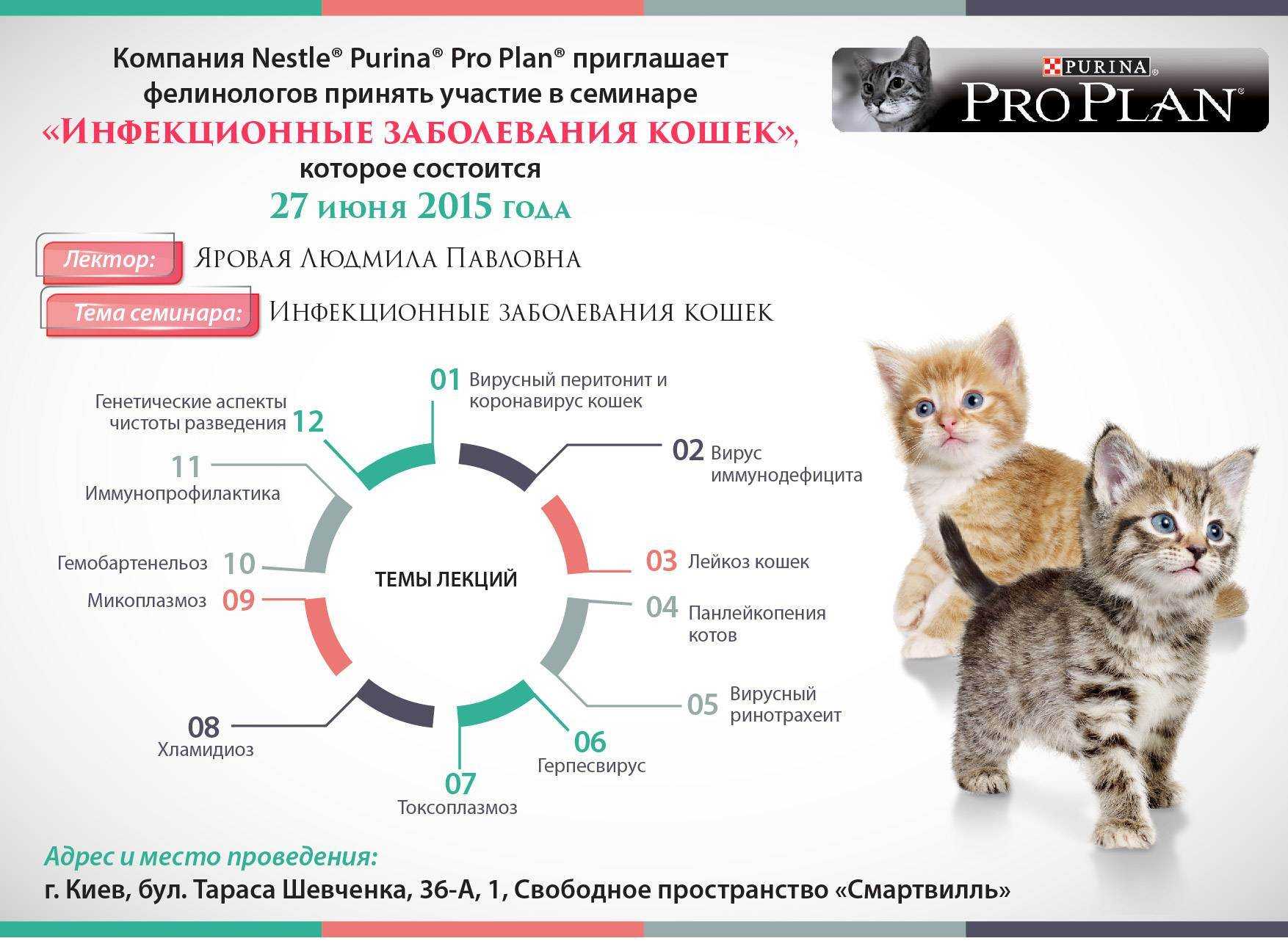 Авитаминоз (гиповитаминоз) у кошек - симптомы, лечение, препараты, причины появления | наши лучшие друзья