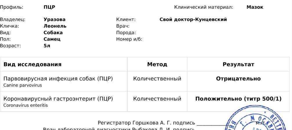Энтерит у кошек: как лечить болезнь