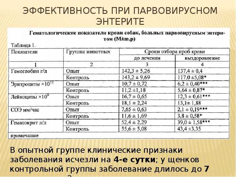 Энтерит у собак симптомы и лечение