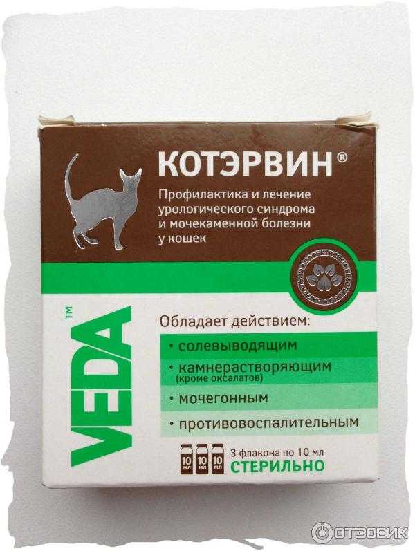 Мочекаменная болезнь у кошек - симптомы, лечение, профилактика