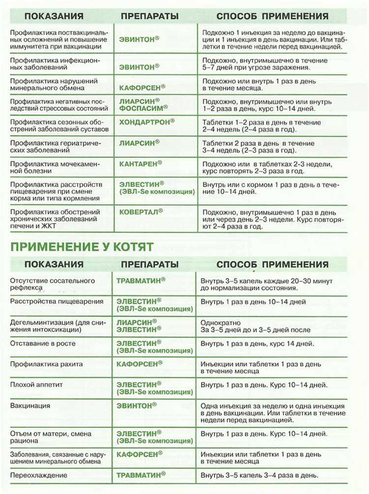 Кишечник у кошки
