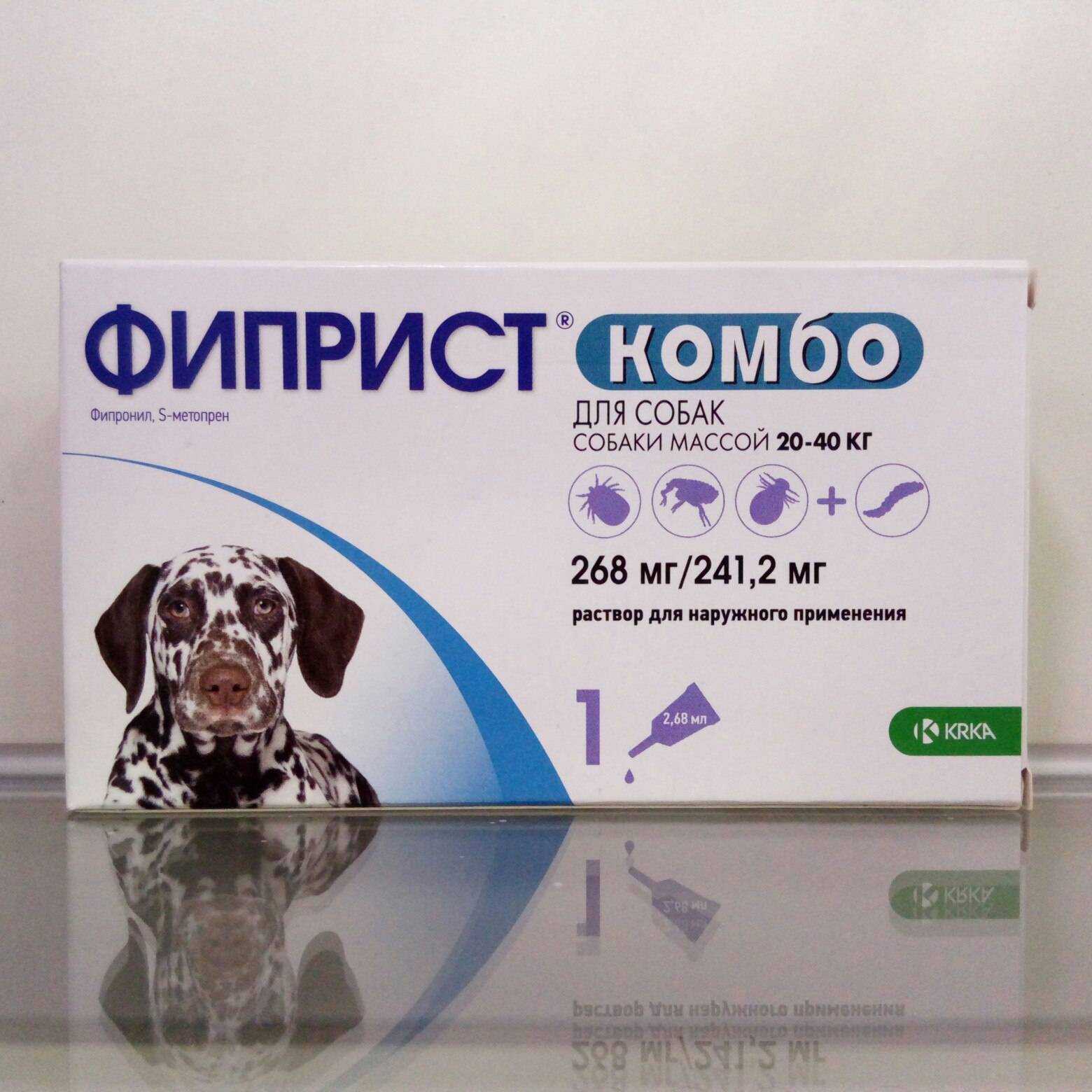 7 лучших средств от блох для кошек